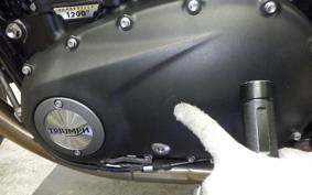 TRIUMPH SPEED TWIN 2024