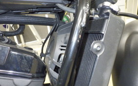 HONDA REBEL 250 2017 MC49