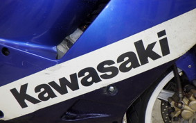 KAWASAKI ZXR250 2021 ZX250A