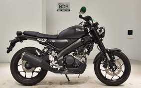 YAMAHA XSR155 2022