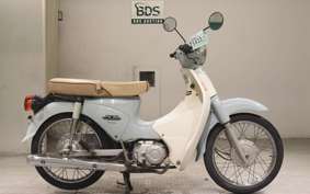 HONDA C110 SUPER CUB