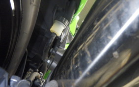 KAWASAKI NINJA 250