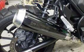 HONDA CL250-2 2015 MC57