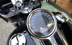 HARLEY FLSB 2021 YMJ