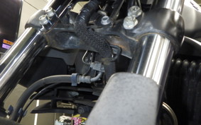 SUZUKI ｼﾞｸｻｰ250SF 2019 ED22B
