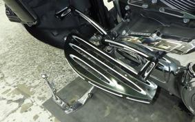 OTHER +FLHTKLTC1690 2015