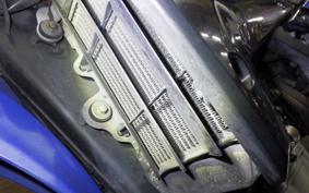 KAWASAKI KLX250D TRACKER X 1981 LX250V
