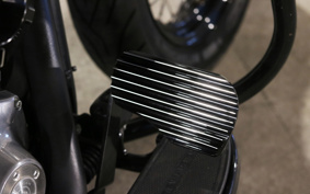 HARLEY FLS 2013 JR5