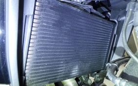 HONDA NX400 2024 NC65