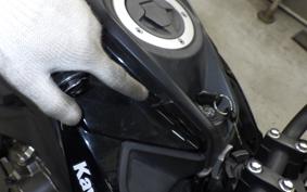 KAWASAKI Z125 PRO 2016 BR125H