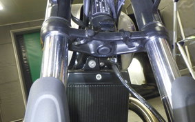 TRIUMPH BONNEVILLE T100 2025