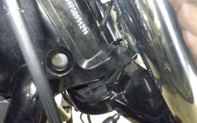 HARLEY FXBR1920 2023