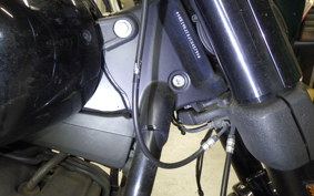 HARLEY FXFB1750 2019