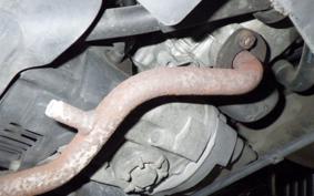 YAMAHA JOG Gen.5 SA36J