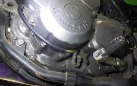 KAWASAKI SUPER SHERPA KL250G