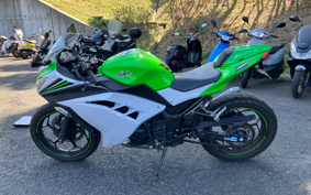 KAWASAKI NINJA 250 EX250L