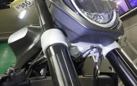 HUSQVARNA ENDURO 701 2019