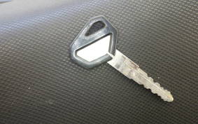 KAWASAKI KLX250D TRACKER X LX250V