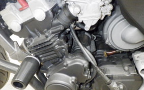 HONDA HORNET 250 1996 MC31