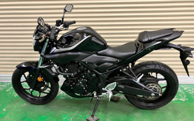 YAMAHA MT-25 RG43J