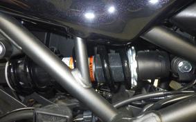 KAWASAKI Z900RS CAFE 2024 ZR900K