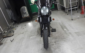 KAWASAKI Z250 SL BR250E