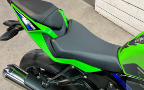 KAWASAKI NINJA ZX-6R 2019 ZX636G