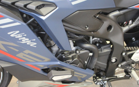 KAWASAKI NINJA ZX-25R ZX250E