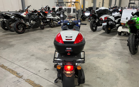 HONDA  BENLY  PRO  AA05