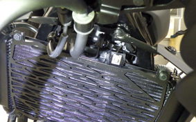 KAWASAKI ELIMINATOR400-3SE 2025 EL400A