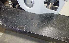 OTHER +UNREGISTERED MODEL by BDS TRIKE125 2006