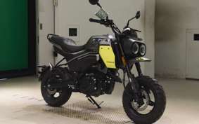 OTHER +CF PAPIO XO-2 2019