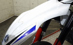 YAMAHA WR250X DG15J