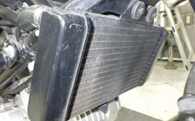 HONDA VTR 250 MC33