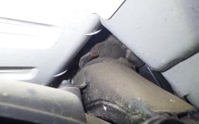 HONDA GYRO X 2003 TD02