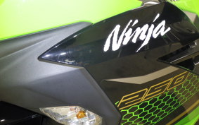 KAWASAKI NINJA 250 2009 EX250P