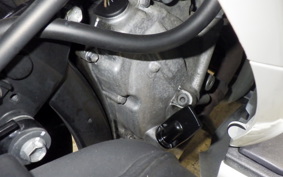 SUZUKI GEMMA 250 2021 CJ47A