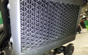 HONDA REBEL 250 2025 MC49