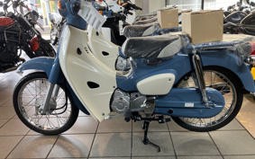 HONDA SUPER CUB50 AA09