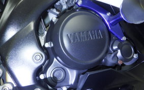 YAMAHA YZF-R15 2025