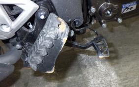 SUZUKI Vｽﾄﾛｰﾑ250SX 2012 EL11L