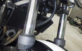 HONDA HORNET 250 1993 MC31