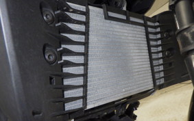 YAMAHA MT-25 RG43J