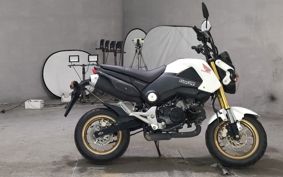 HONDA GU ROM JC61