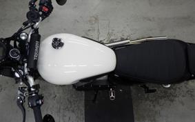 TRIUMPH STREET SCRAMBLER 2019
