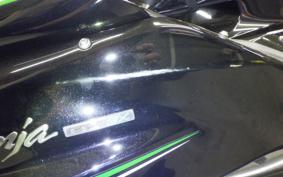 KAWASAKI NINJA H2 SX 2023 ZXT02P
