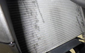 KAWASAKI NINJA 250 EX250Y