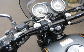 KAWASAKI W800 SPECIAL EDITION  2011 EJ800A