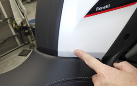 BENELLI TRK502X 2026