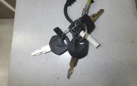 SCORPA STY125 2025